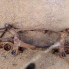 Балка подвески задняя к Mercedes E W124, 1993 г.